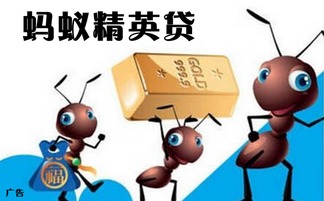 陜西興海普惠信息咨詢服務有限旬陽分公司 專業(yè)信息咨詢服務的領航者