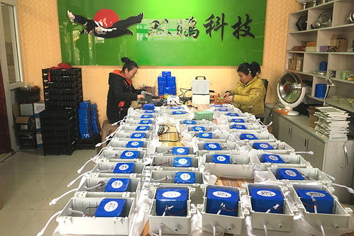 太陽能膠體電池選購指南 從生產廠家到現(xiàn)貨銷售的全流程解析