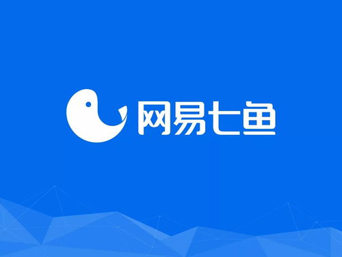 設計細節(jié)的魔力 論輔助圖形在信息咨詢服務中的重要性