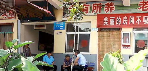 養老院十五年忽思歸，子女驚愕方知亡母已逝廿八載
